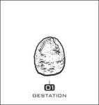 01 Gestation - Dronevolution