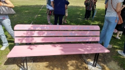 Annastaccatolisa - inaugurazione panchina rosa e azzurra a Larciano